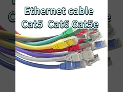 Spécies de câbles Ethernet